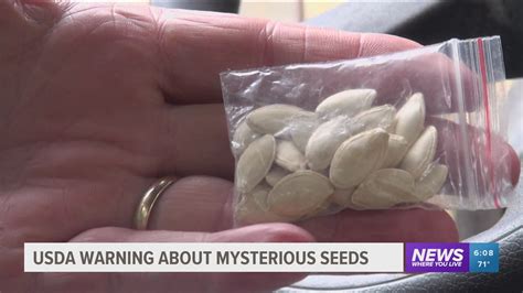 what are the seeds being shipped from china